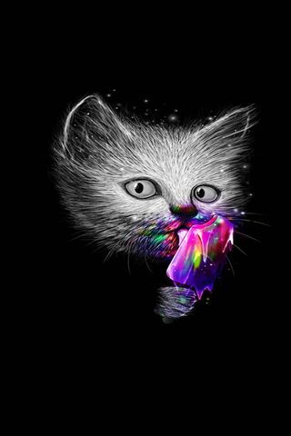 Phoneky Cat Abstract Hd خلفيات