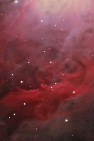 The Cosmic Cradle: Orion Nebula Unveiled 🌌✨