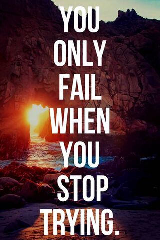 Persistence Pays Off 🌟