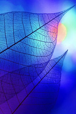 Whispers of Nature: A L..