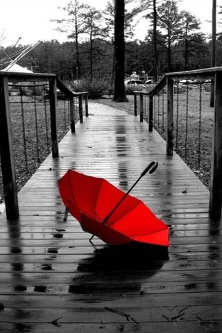 Red Umbrella Wallpaper - Download to your mobile from PHONEKY