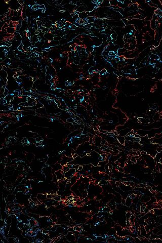 Colorful Chaos: The Art of Boxes