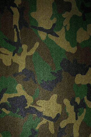 Camo Chronicles: The Ar..