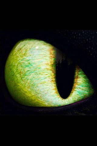 Gaze of the Mystic Eye Dragon 🐉👁️