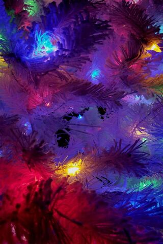 Magical Glow of the Holiday Tree 🎄✨