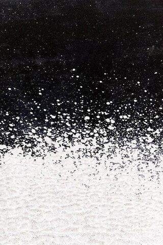 Monochrome Magic: The Dance of Black and White 🎨✨