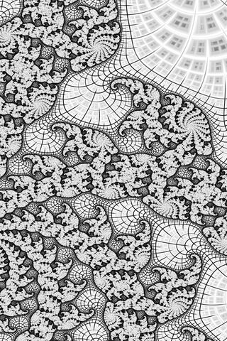 Monochrome Marvels: A Dance of Patterns