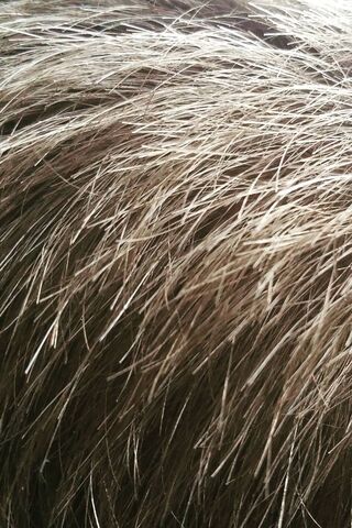 The Beauty of Texture: ..