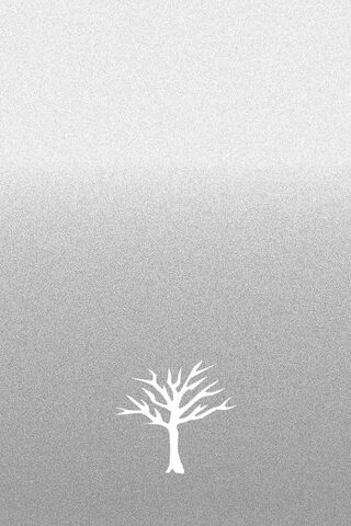 The Silent Echo of X*xtentacion 🌳✨