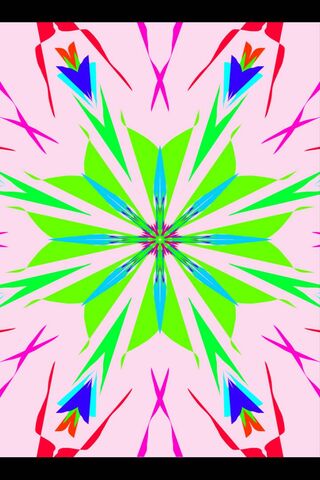 Floral Kaleidoscope: A Burst of Color 🌸✨
