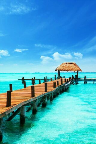 Serenity by the Sea 🌊✨