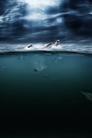 Ocean's Fury: The Shark Encounter 🦈🌊