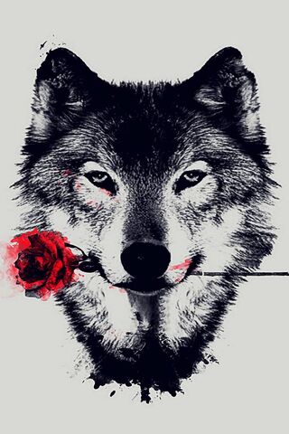 Wild Elegance: The Wolf..