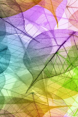 Colorful Veins of Nature