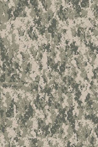 Acu Camo: The Art of Co..