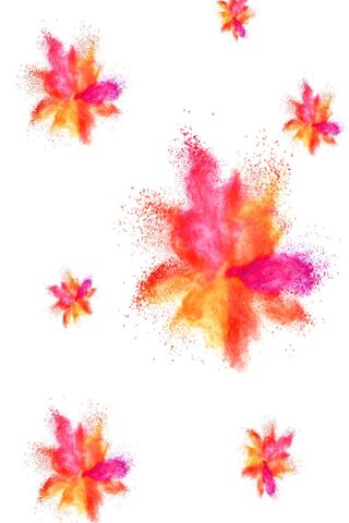 Blossoms of Color on White