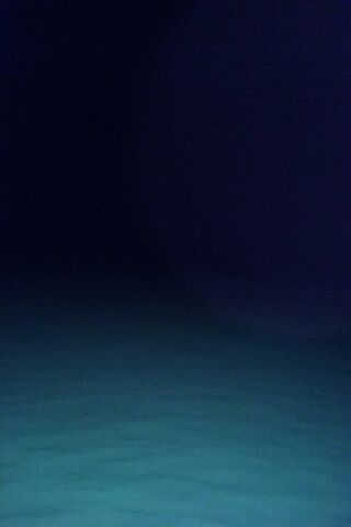 Mysteries of the Deep Blue 🌊