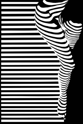 Stripes of Identity: The Barcode Art