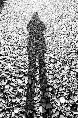 Echoes of Solitude: The Shadow's Dance