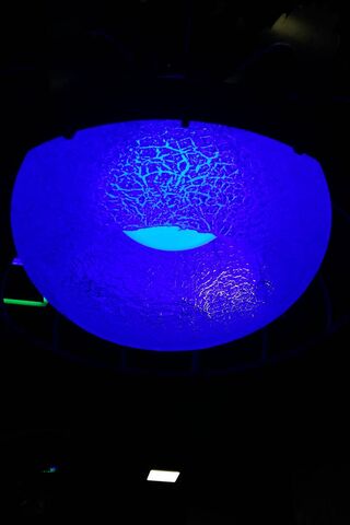 Bluee Light