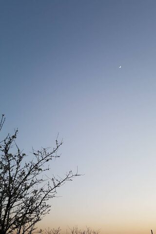 Whispers of Twilight 🌙