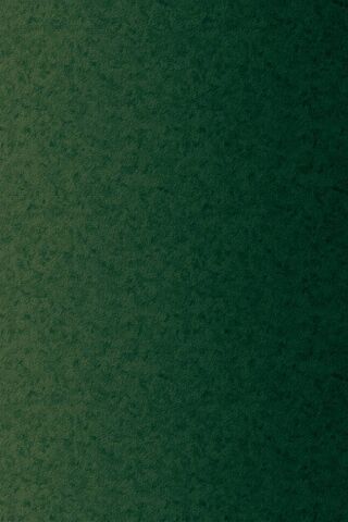 Nature's Touch: The Basic Green iPhone X 🌿📱