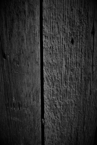 Timeless Textures: The Beauty of Wood in Monochrome