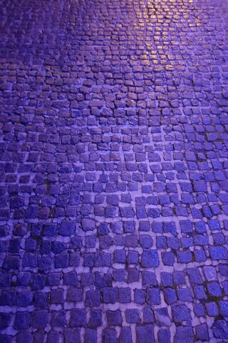 Mystical Pathways: The Enchantment of Street Blocks