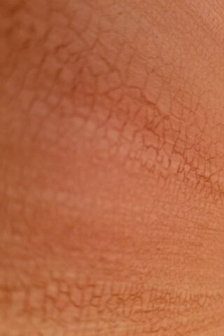 The Intricate Patterns of Nature's Armor 🐍✨