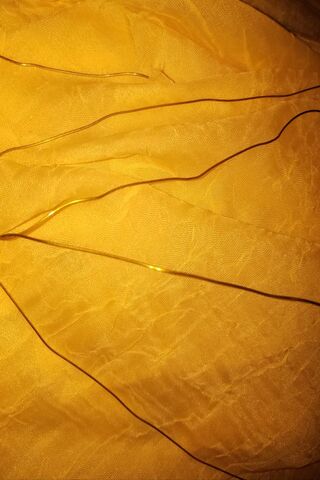 Golden Threads of Creativity ✨