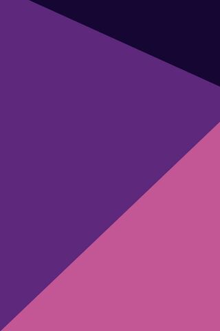 Vibrant Geometry: The E..