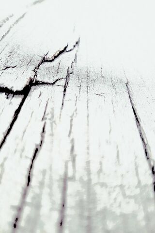 Nature's Canvas: The Story of a Weathered Log 🌳✨