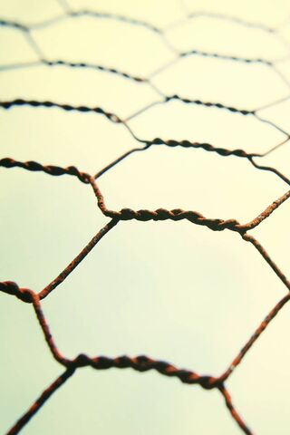 Hexagonal Harmony: The Art of Fencing