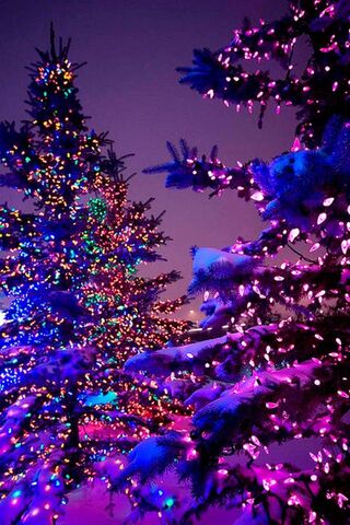 Twinkling Winter Wonderland ✨🎄