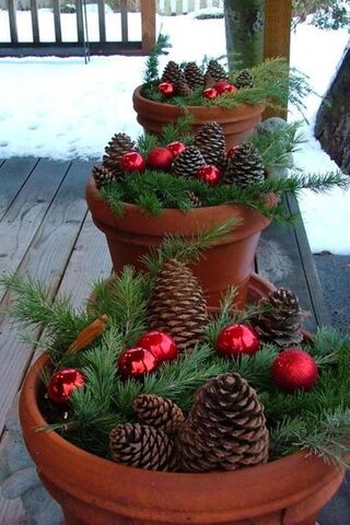 Festive Winter Cheer 🎄✨