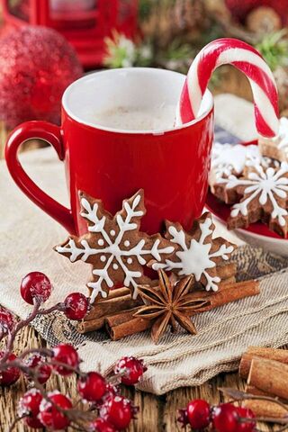 Cozy Christmas Treats �..