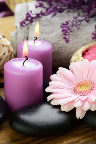 Serenity in Lavender: A..