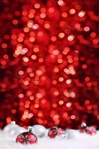 Festive Cheer: A Glimpse of Christmas Magic 🎄✨