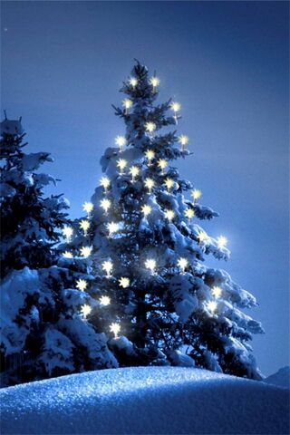 Twinkling Winter Wonderland 🌟🎄