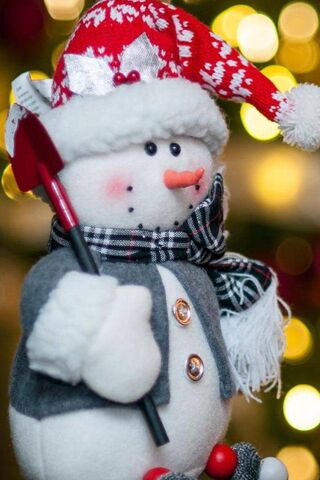Charming Snowman Ready ..