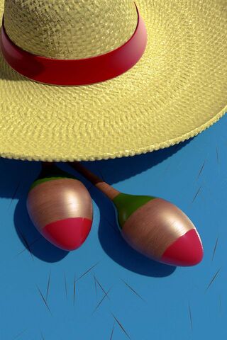 Fiesta Vibes: The Sombrero and Maracas Duo! 🎉