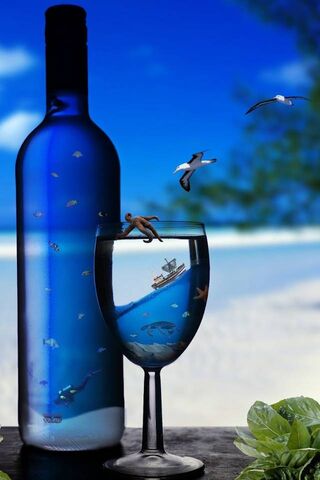 Ocean in a Bottle: A Be..