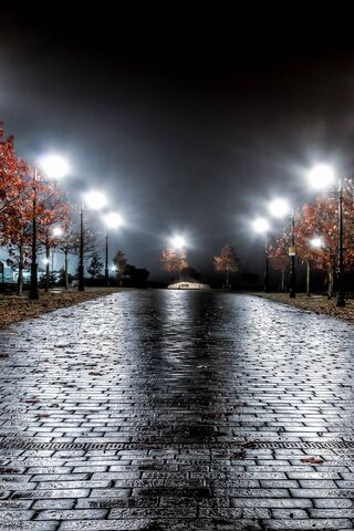 Mystical Nights in Engl..