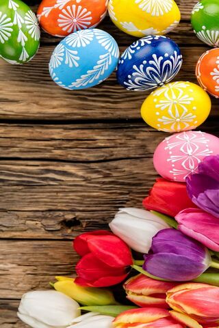 Springtime Splendor: A ..
