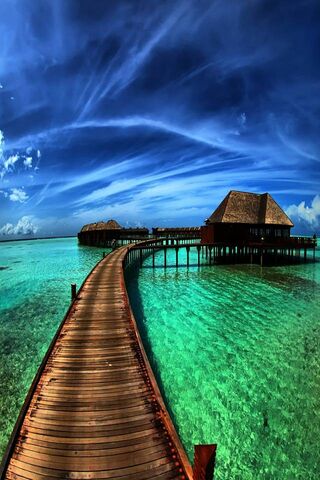 Serenity on the Wooden Bridge 🌊🌅