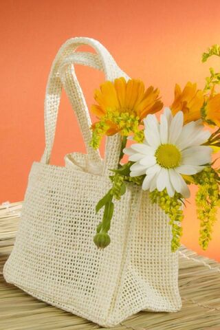 Blooming Beauty: A Flor..