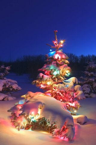 Winter Wonderland Glow ..