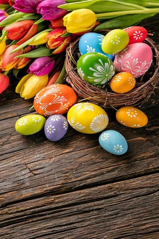 Colorful Spring Delight..