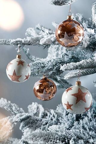 Sparkling Holiday Cheer..