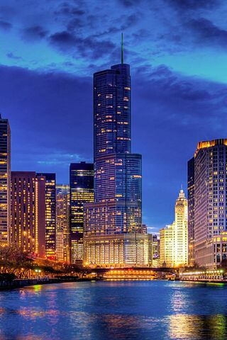 City Lights: A Night in Urban Splendor 🌆✨